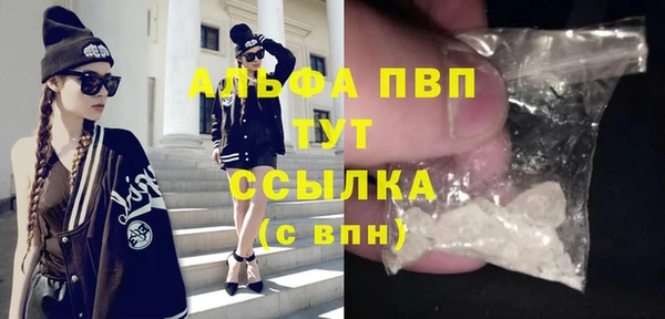 spice Арсеньев