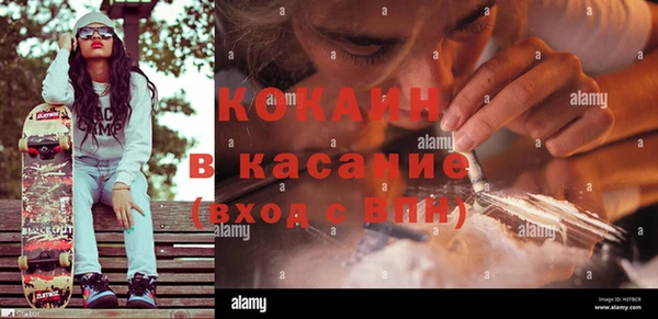 гашик Аркадак