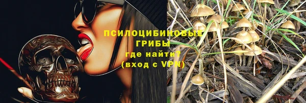 spice Арсеньев