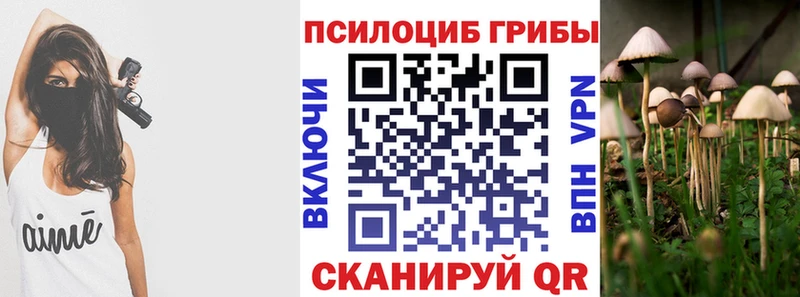 Галлюциногенные грибы прущие грибы Россошь